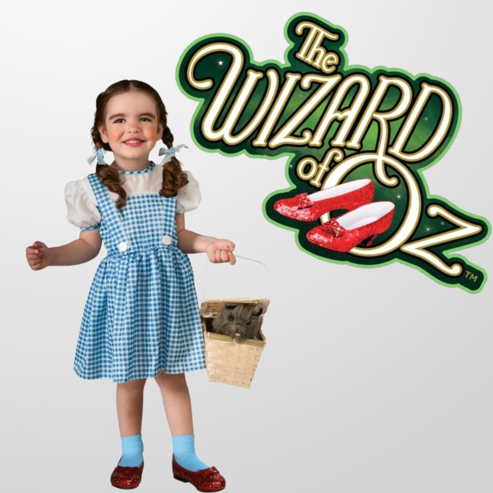 The Wizard of Oz DOROTHY Sequin Child Costume Girls Small (4-6)